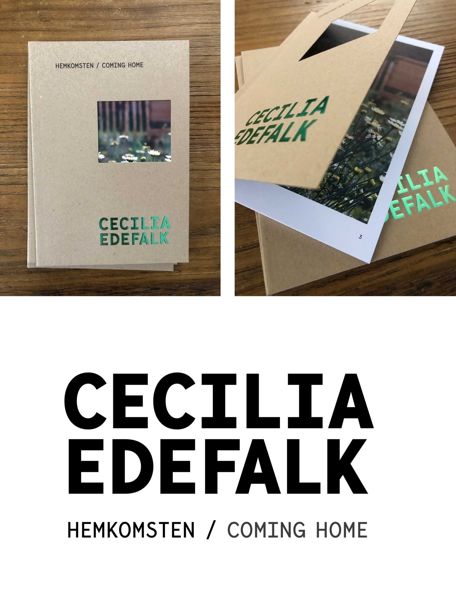 Cecilia Edefalk bok